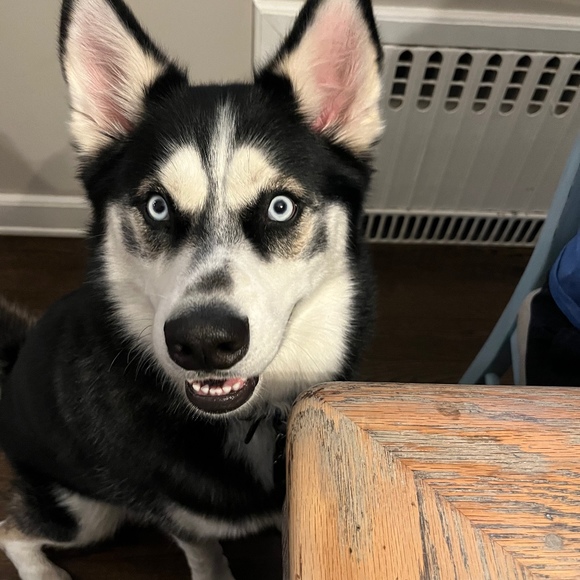 Meet the Posher Other - Meet your Posher, Posh